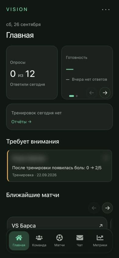 Настоящий экран Vision · личные данные скрыты